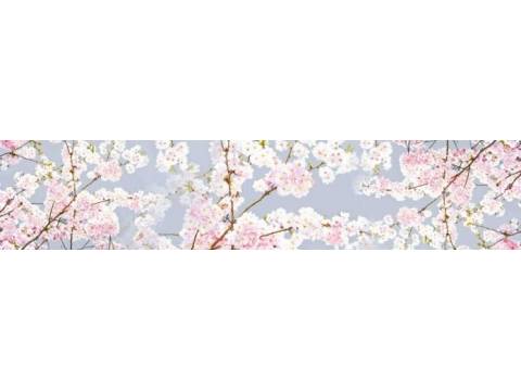 Фартук с фотопечатью Цветы FM21