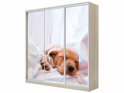 Шкаф-купе Хит 22-20-777