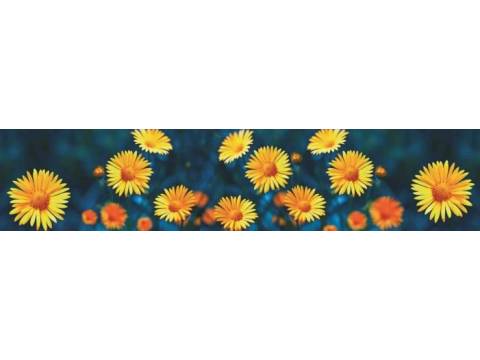 Фартук с фотопечатью Цветы M21