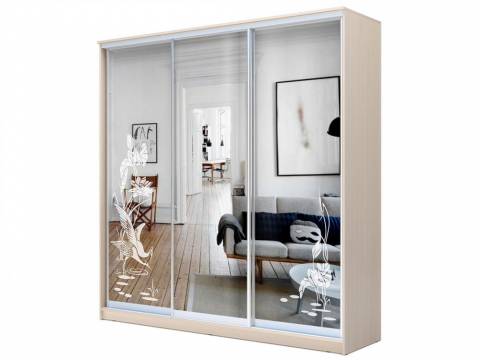 Шкаф-купе Хит 22-4-18-656