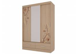 Шкаф-купе Виктория 1