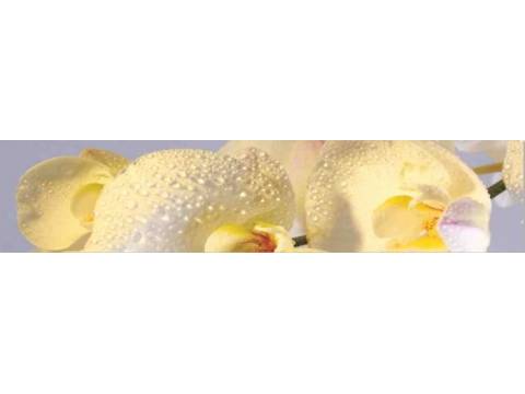 Фартук с фотопечатью Орхидея SP018