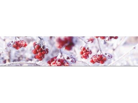 Фартук с фотопечатью Зимняя рябина SP169